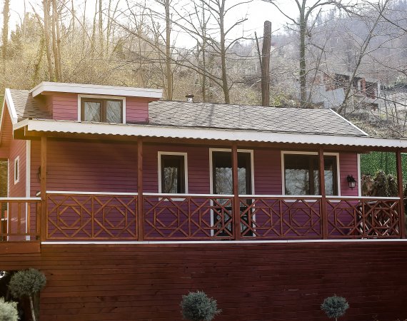Pink House